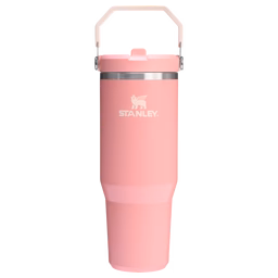 STANLEY Flip Straw Tumbler
